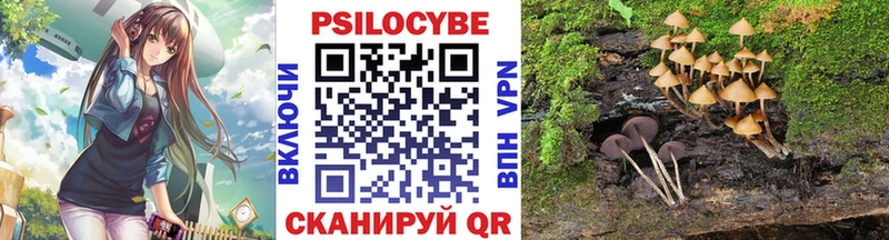 Купить закладки  Полысаево  Псилоцибиновые грибы MAGIC MUSHROOMS 